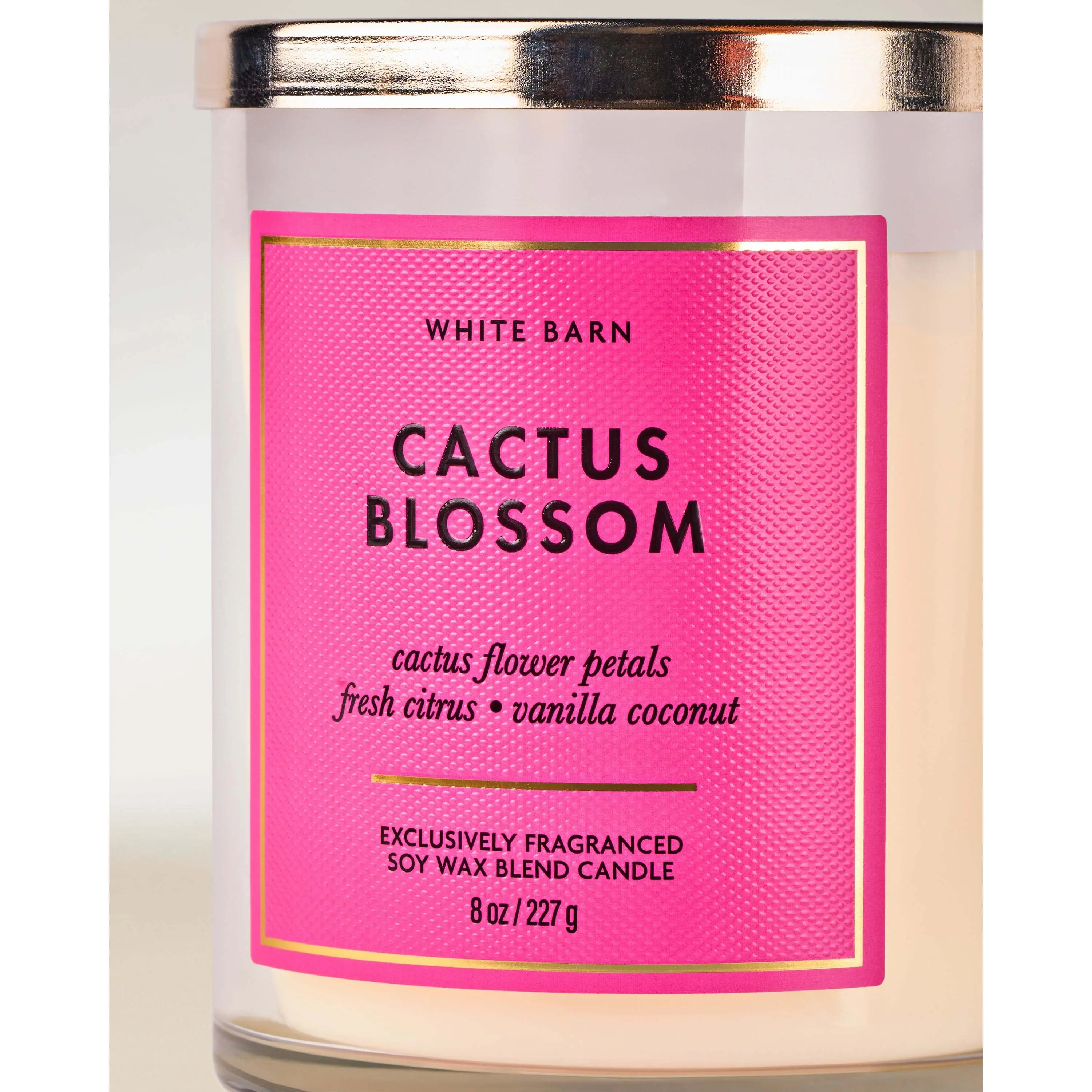 Cactus Blossom Single Wick Candle - Image 2