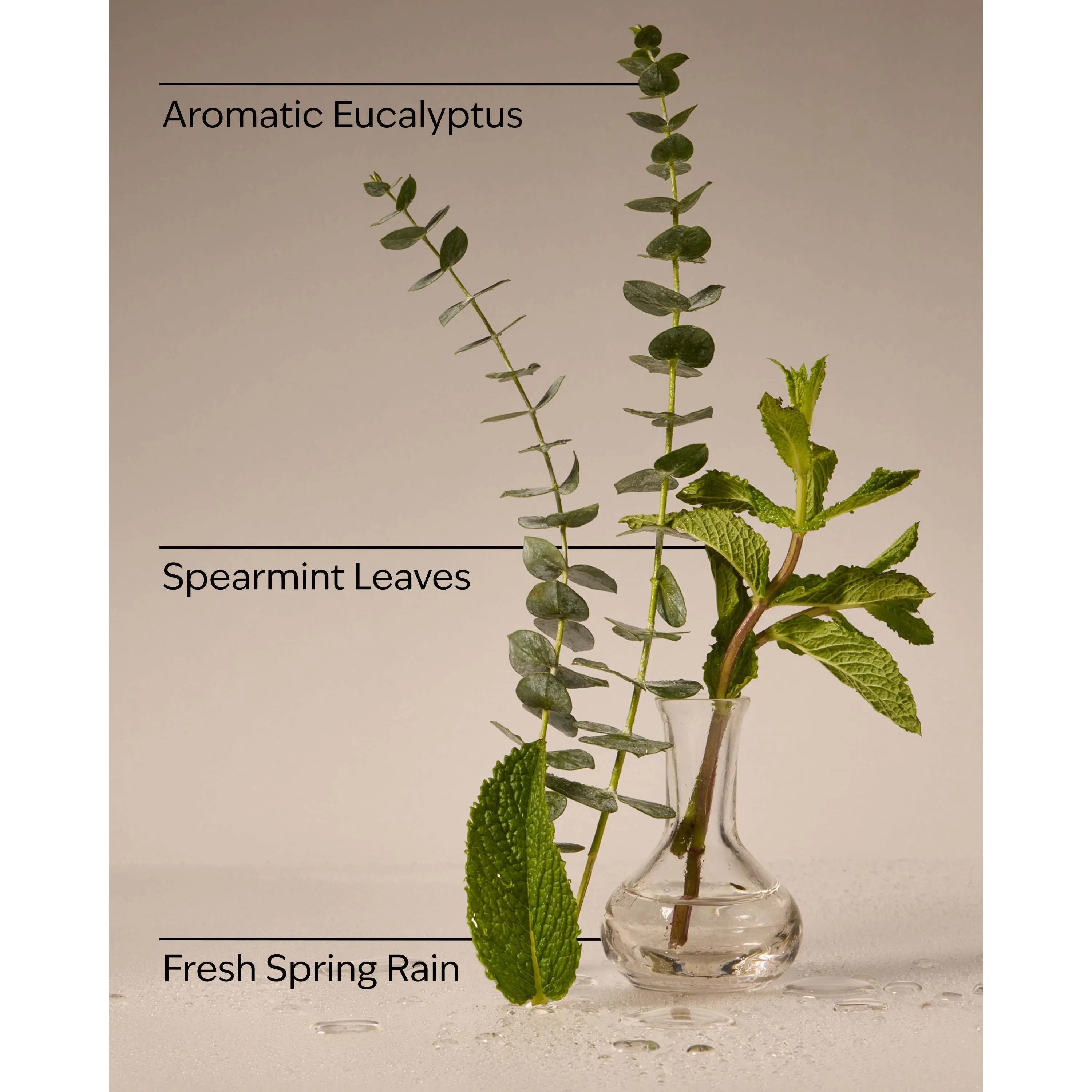 Eucalyptus Rain Wallflowers Fragrance Refill - Image 3