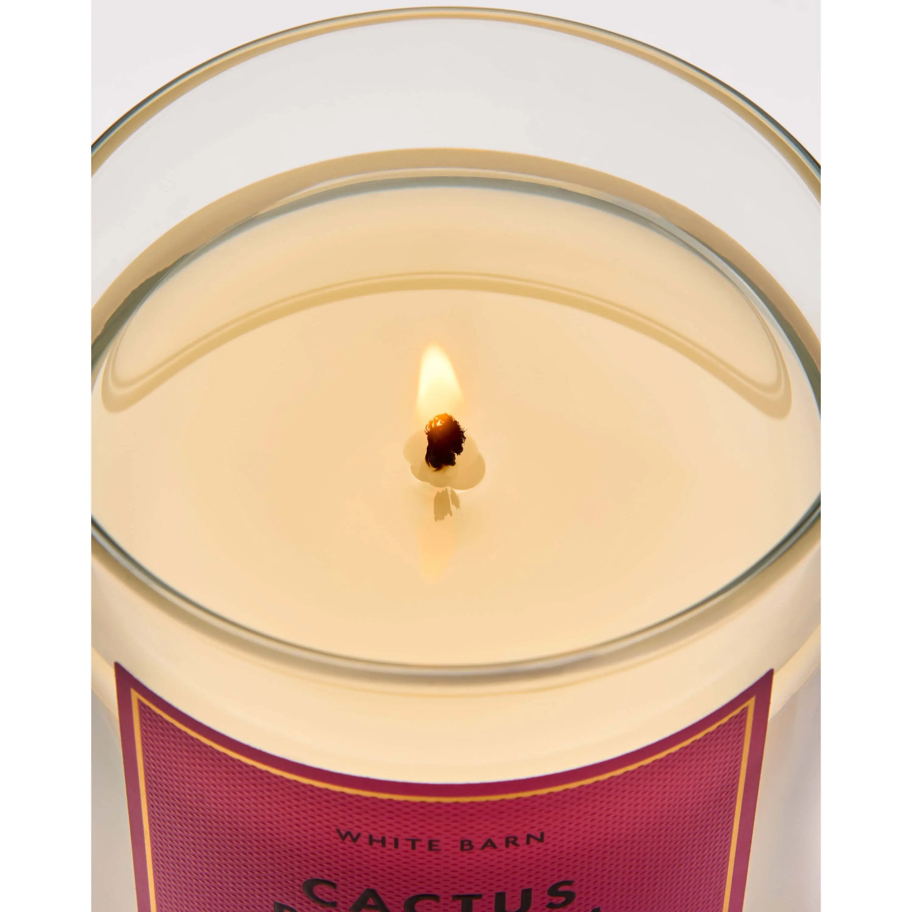 Cactus Blossom Single Wick Candle - Image 5