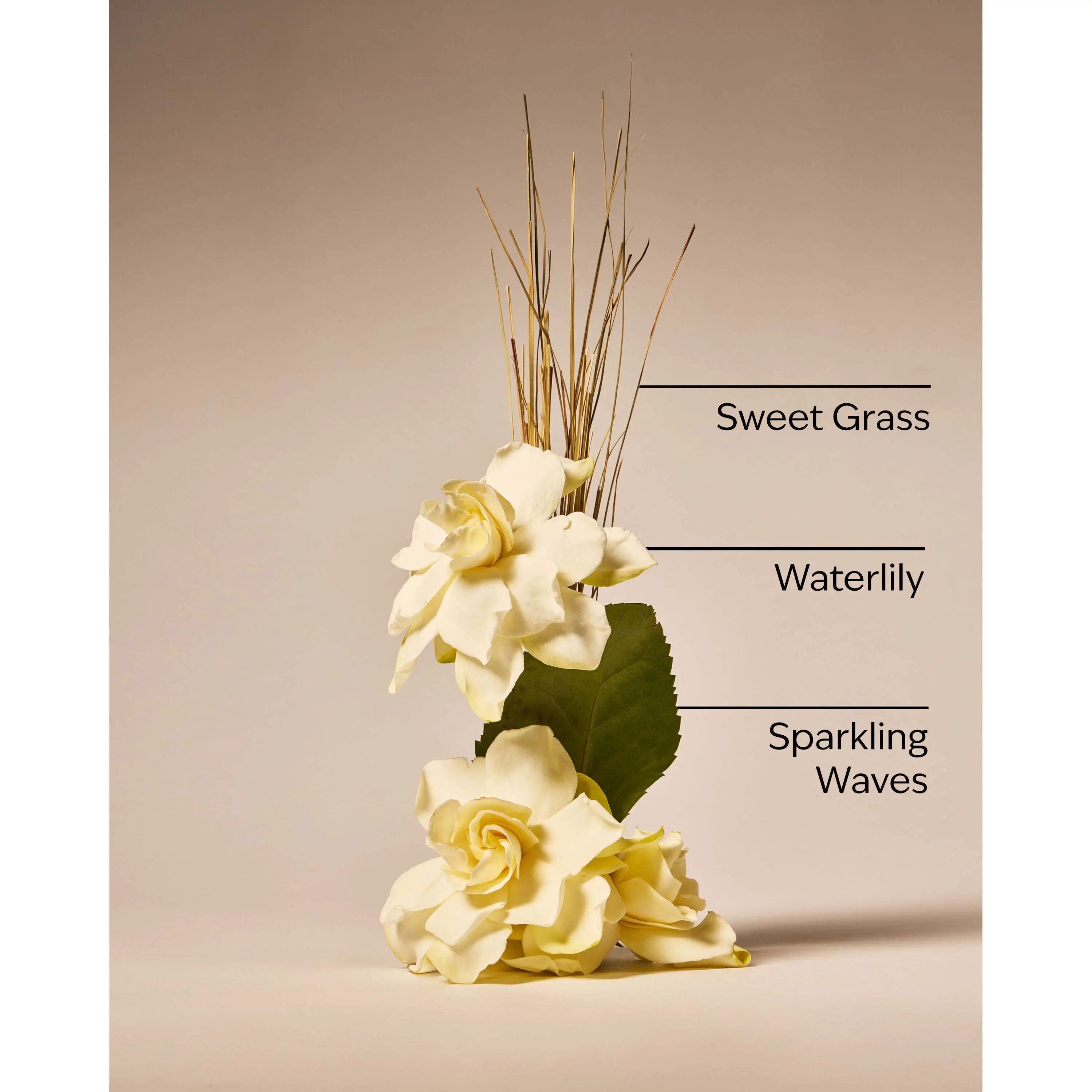 Seagrass Serenity Wallflowers Refills 2-Pack - Image 3