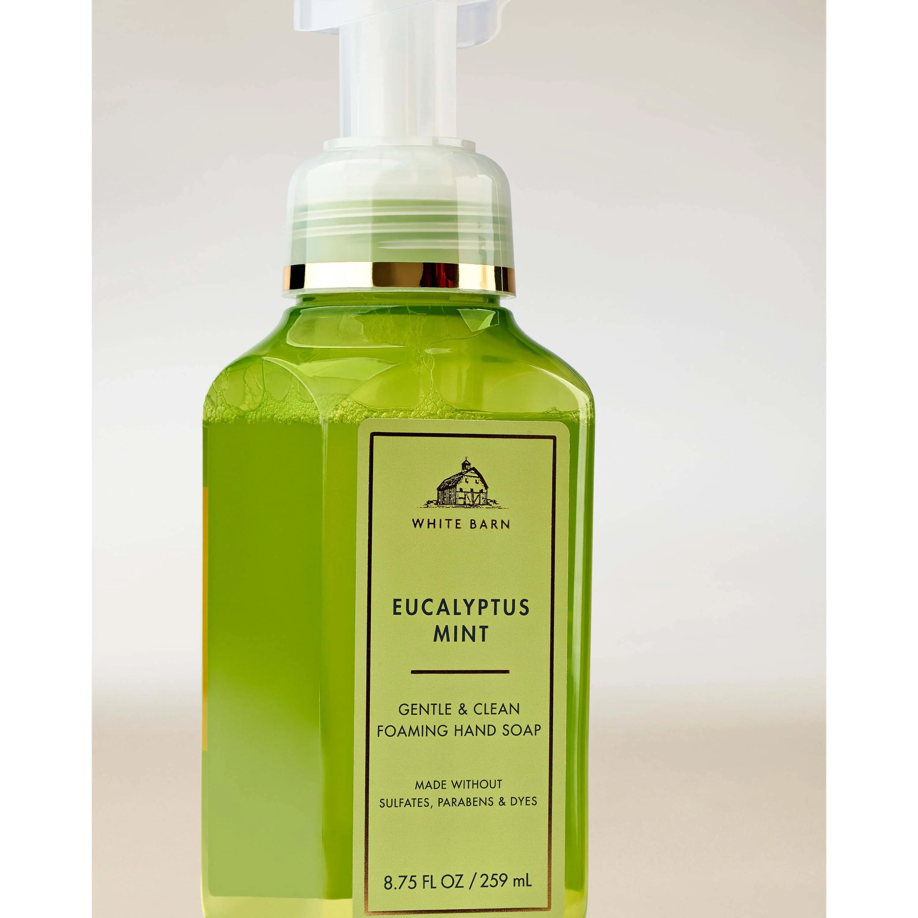Eucalyptus Mint Gentle & Clean Foaming Hand Soap - Image 2