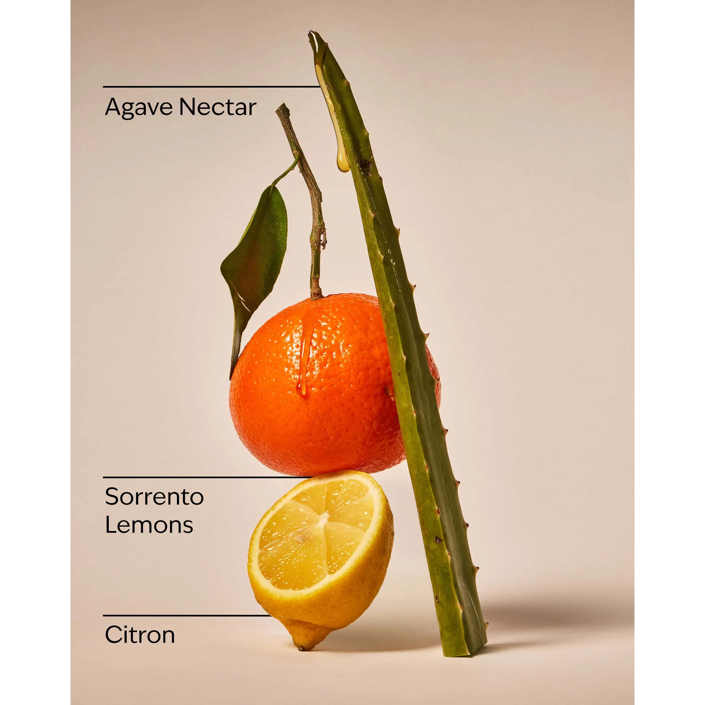 Sunwashed Citrus Wallflowers Refills 2-Pack - Image 3