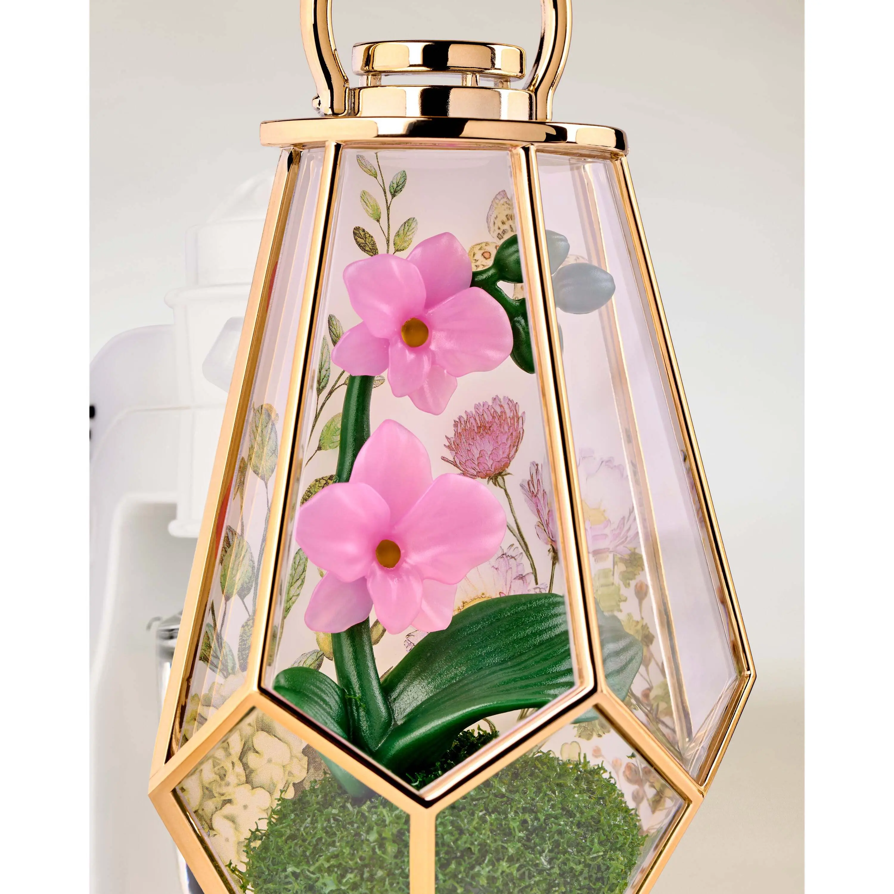 Orchid Terrarium Scent Control Nightlight Wallflowers Fragrance Plug - Image 3