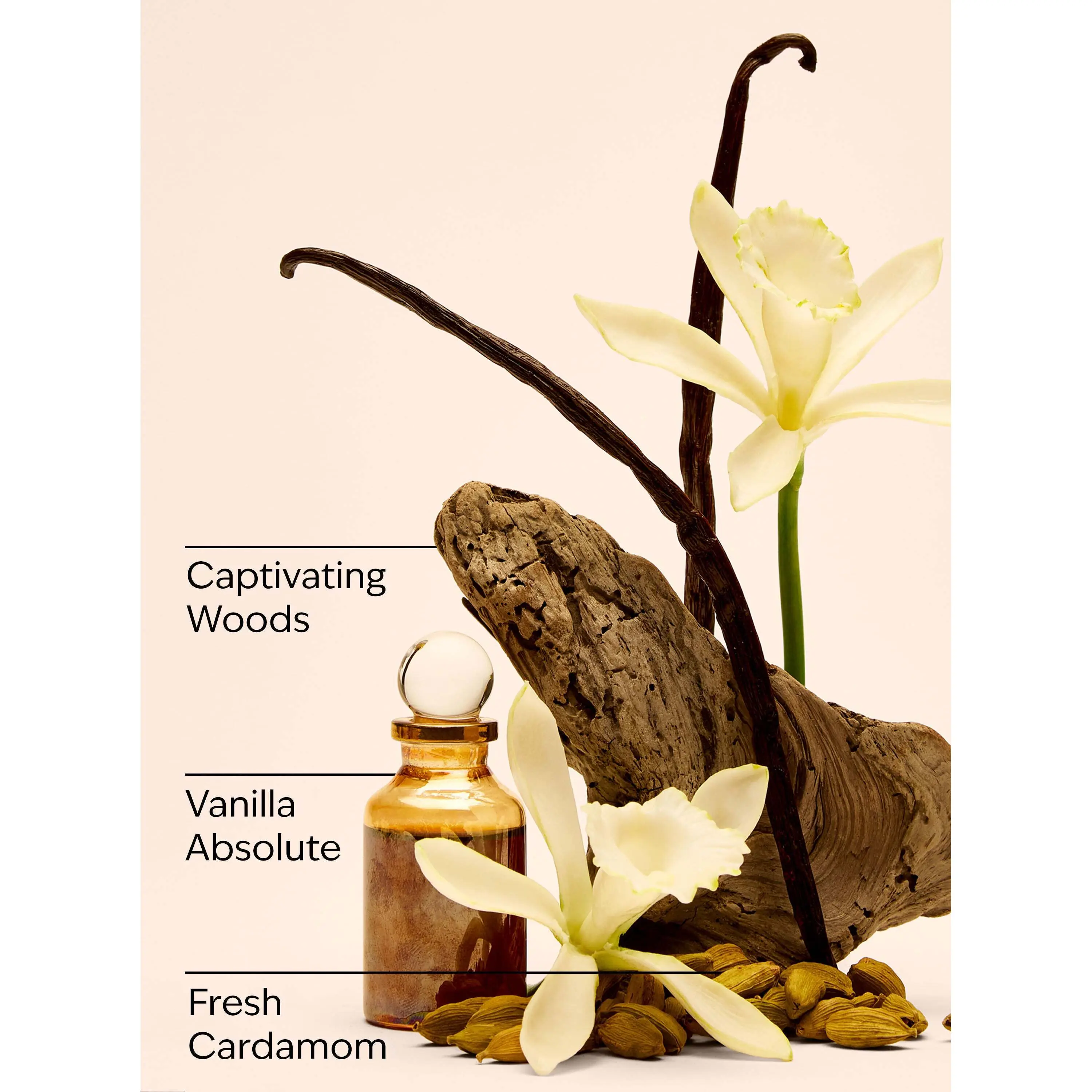 Vanilla Romance Body Lotion - Image 3