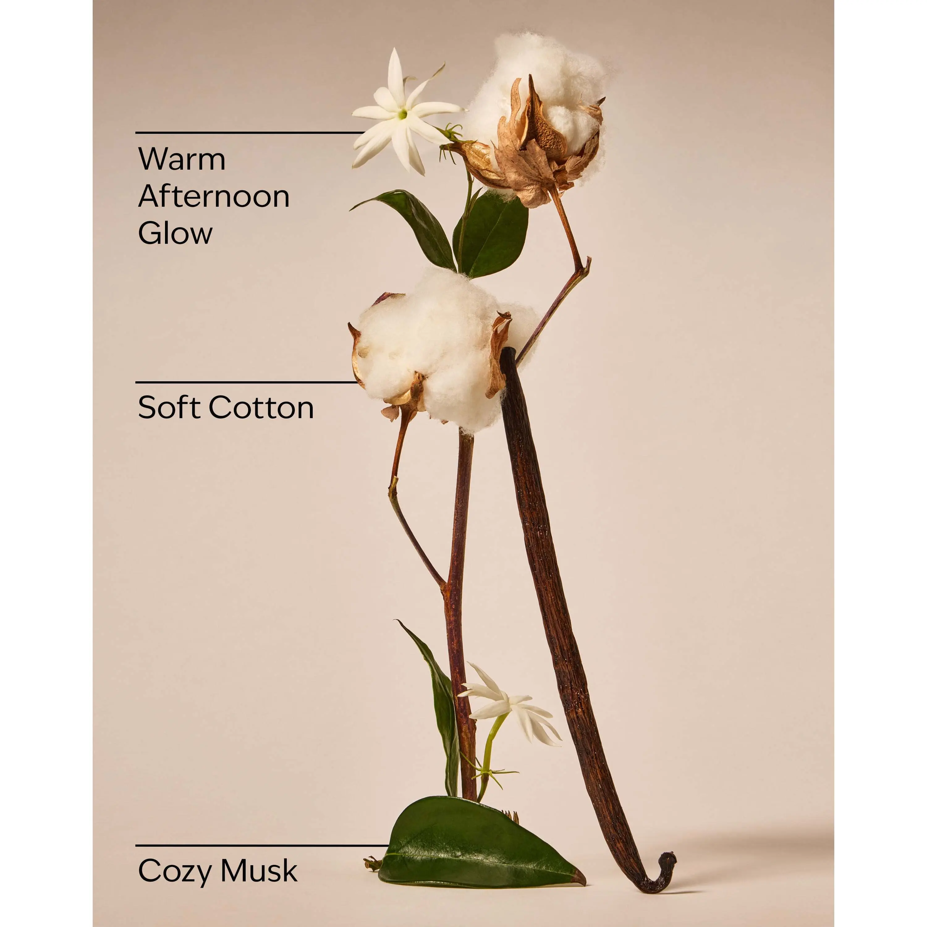 Cat Nap Wallflowers Fragrance Refill - Image 3